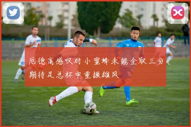 厄德高感叹对小蜜蜂未能全取三分期待足总杯中重振雄风